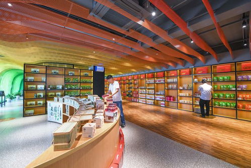 浙江慈溪 以數據處理賦能高效集約現代農業發展